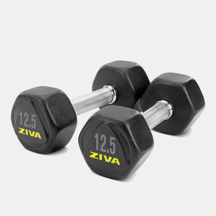 Performance Hexagon Steel Dumbbell - 12.5kg (1 Pair)